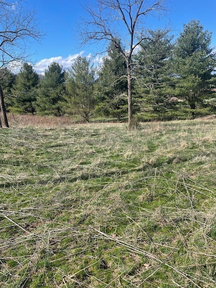 Lot41-42 Fountain Springs Dr, Peterstown, WV 24963