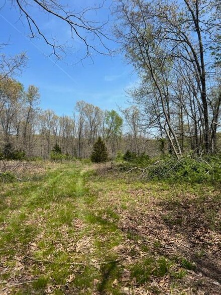 0000 County Road 489, Birch Tree, MO 65438