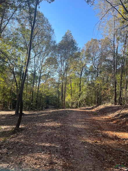 TBD Woodchuck Rd, Pittsburg, TX 75686