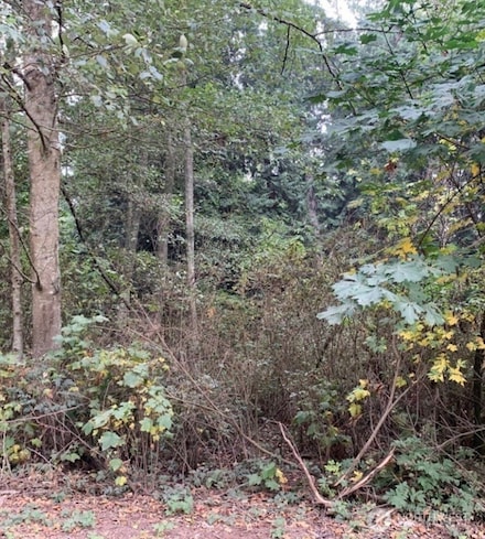 46 A Snohomish Way, Hat Island, WA 98236