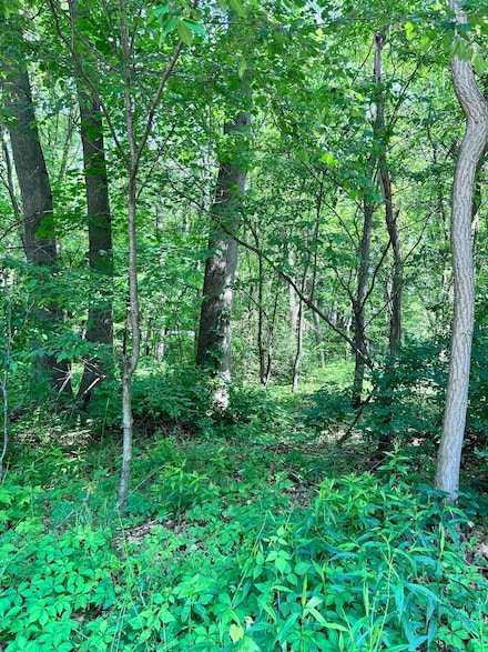 0 Sandy Beach Dr, Ontwa Township, MI 49112