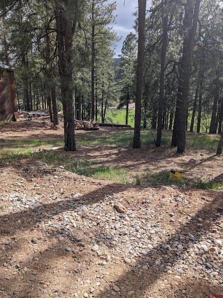 171 Snowbird, Bayfield, CO 81122