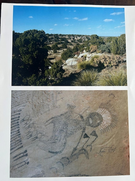 10 Bull Cyn Loop W, Newkirk, NM 88431