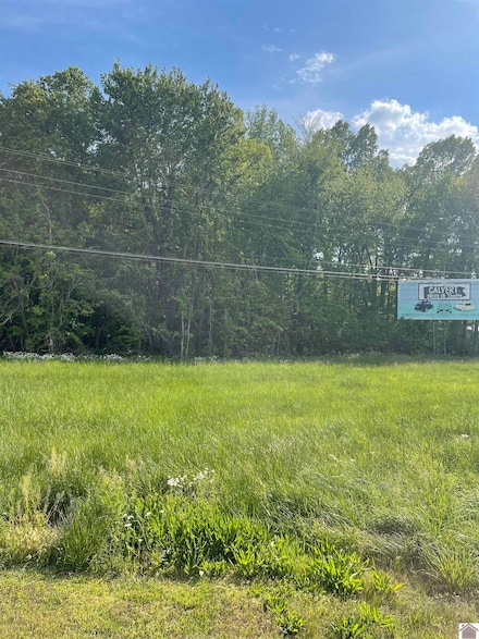 0 U S Highway 62 Unit Parcel OC-12-01-077, Calvert City, KY 42029