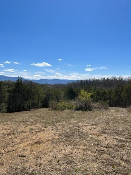 8.4 AC Kinder Ln, Dandridge, TN 37725