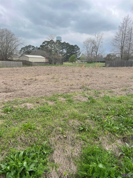 7811 Cooks Landing Dr, Waterloo, LA 70783