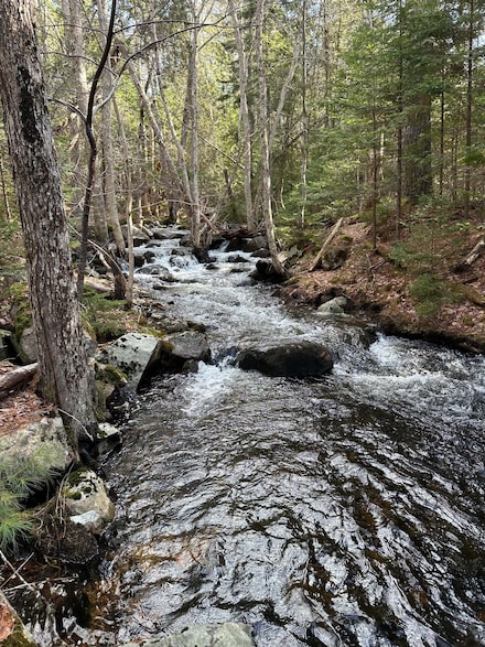 Map10-193 Main St Unit 4, Mount Desert, ME 04660