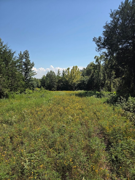 Hwy 98, Broken Bow, OK 74745