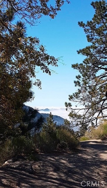 7 Burnt Mill Rd, Cedarpines Park, CA 92325