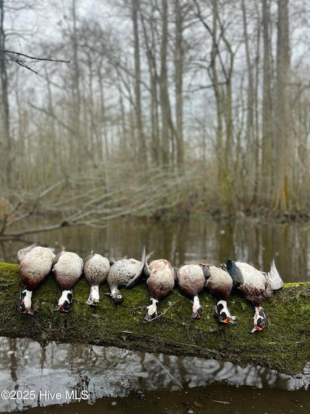 00 Gurman Powell Rd, Kenansville, NC 28349