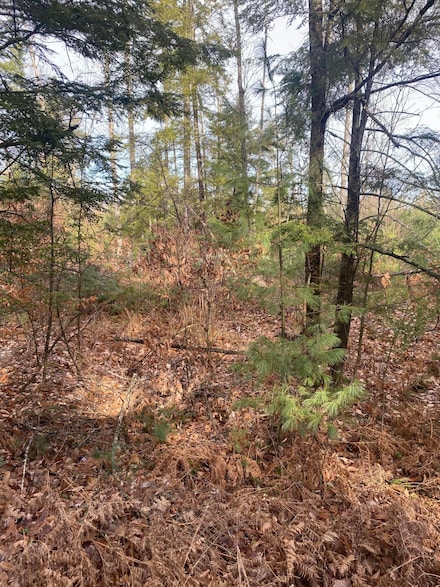 301 Boundary Rd, Standish, ME 04084