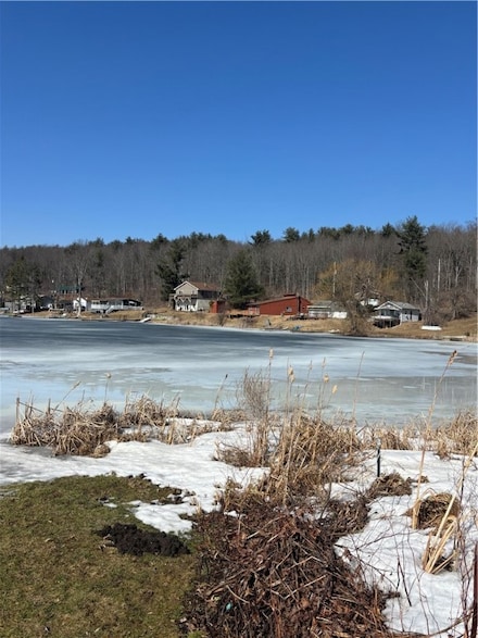 3829 Cottage Rd, Thurston, NY 14801