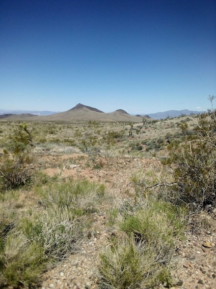 30176 Mountain View Rd, Temple Bar Marina, AZ 86443