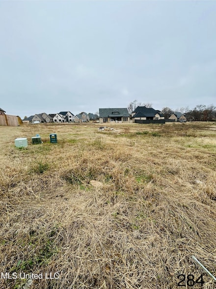 4213 Piland Park Cove, Olive Branch, MS 38654