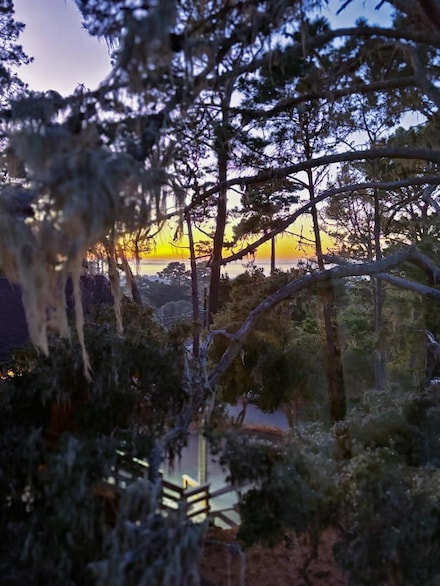 1148 Patterson Ln, Pacific Grove, CA 93950