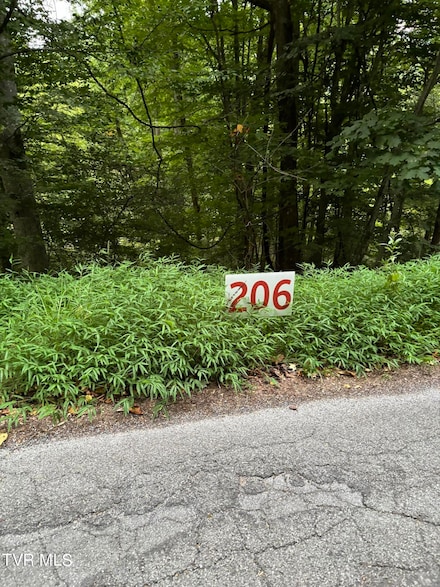 206 Ox Bow Ave, Unicoi, TN 37692