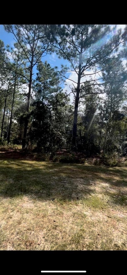 0 SW 64 Street Rd Unit MFRO6248894, Ocala, FL 34481