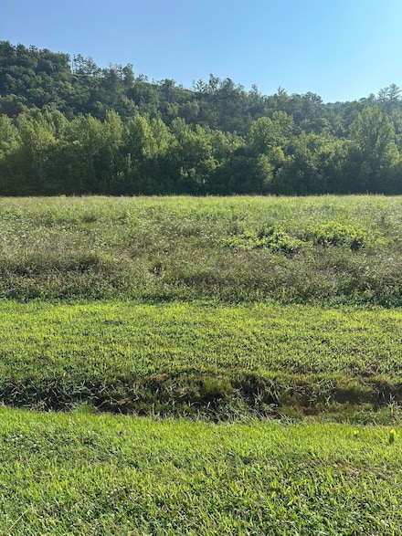 lot 146 River Rapids Way, Del Rio, TN 37727