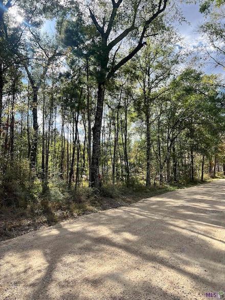 Lot 53 Nesom Rd, Denham Springs, LA 70706