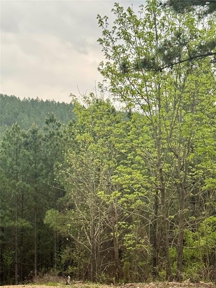 30 N Lukfata Trail Rd, Broken Bow, OK 74728