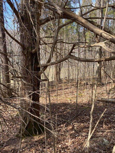 Lot 19 N Fork Rd, Burnside, KY 42519