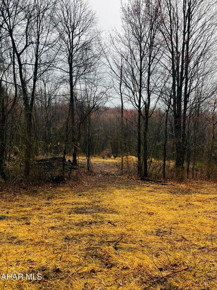 W Carson Valley Rd, Allegheny Township, PA 16635