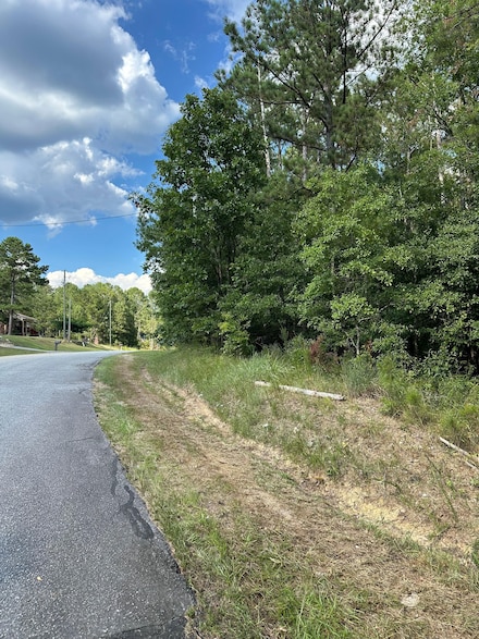 0 State Road S-33-387, McCormick, SC 29835