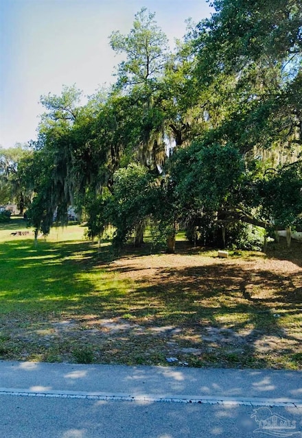 0 Polk Unit 666914, Haines City, FL 33844