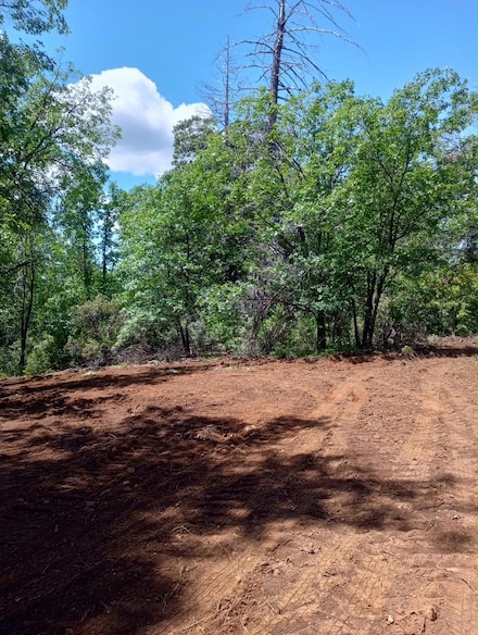 2710 Moody Ridge Rd, Gold Run, CA 95714
