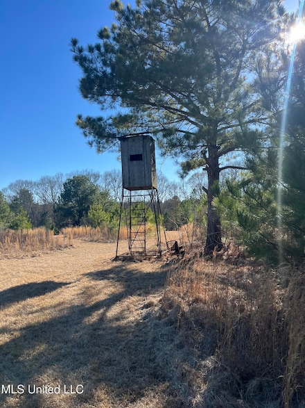 0 Holly Grove Ln, Hermanville, MS 39086