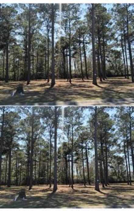 1148 Fiddlehead Way Unit 550, Myrtle Beach, SC 29579