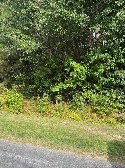 0 E Burch Rd E Unit 692920, Lumberton, NC 28360