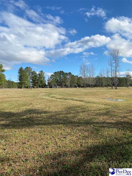 Oates Hwy Brockington Rd, Darlington County, SC 29532