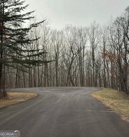0 Baltusrol Run Unit 10504711, Ellijay, GA 30540