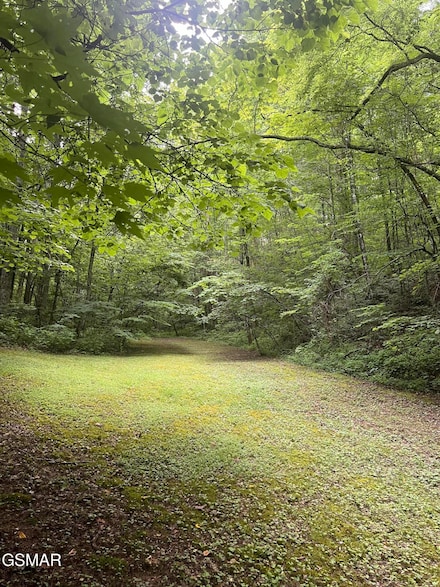 2110 Duck Pond Ln, Sevierville, TN 37876