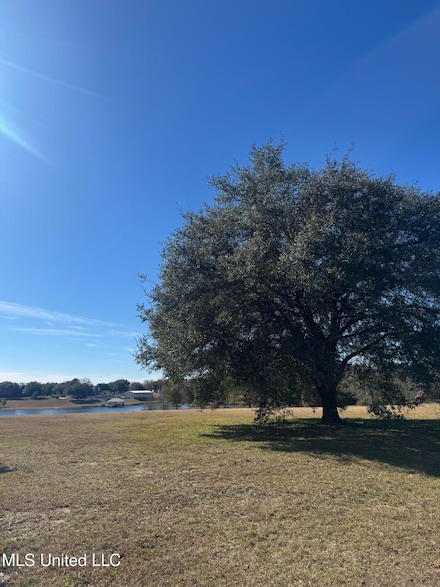 0 Shavon Dr Unit 4101374, Carriere, MS 39426