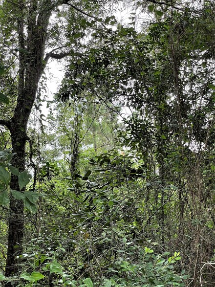 0000 Quail Ridge Rd Unit Lot 3, Defuniak Springs, FL 32435