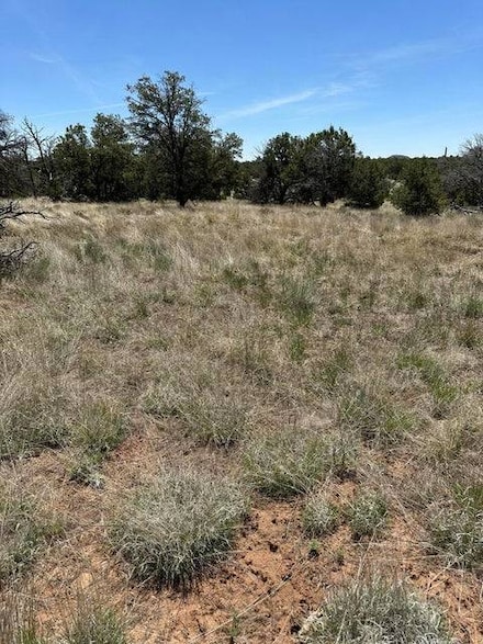 2 Rabbit Cir, Pie Town, NM 87827