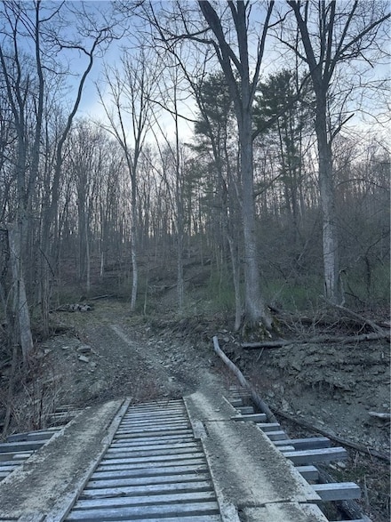0 Markle Hollow Rd Unit R1601716, Big Flats, NY 14814