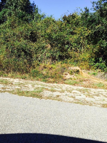 0 W Wesmark Blvd, Sumter, SC 29150