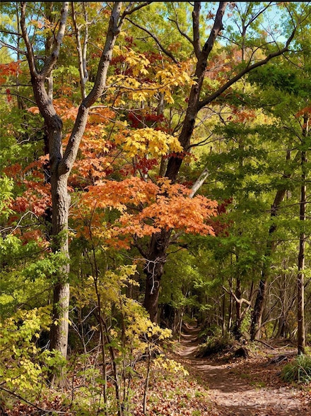 13 Spring Valley Way, Weaverville, NC 28787