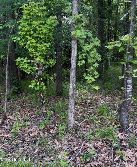 5147 U S 51, Hernando, MS 38632