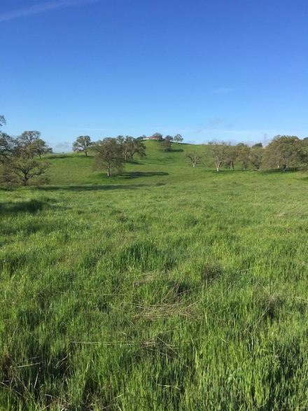 10232-10440 Gregory Rd, Valley Springs, CA 95252