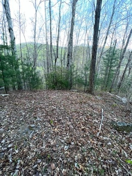 00 Glennview Ln, Franklin, NC 28734