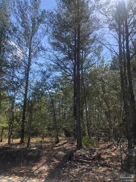 0 Princess St, Defuniak Springs, FL 32433
