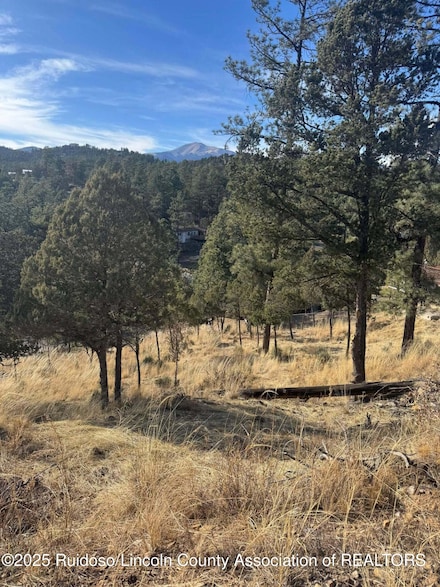 110 Rockmount Dr, Ruidoso, NM 88345