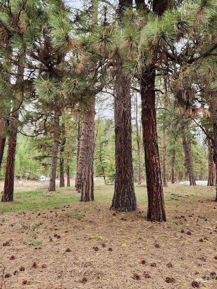 TBD E Trinity Creek Rd, Featherville, ID 83647