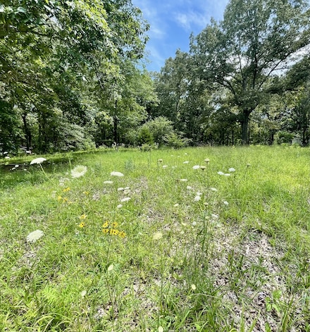 318 Highway 20, Summertown, TN 38483