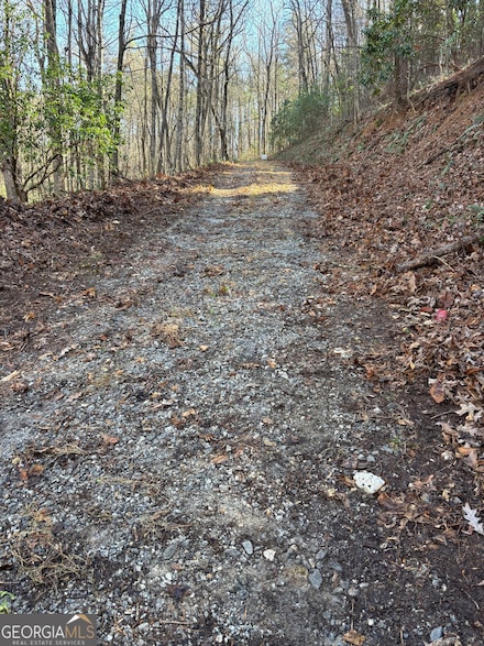 0 Amaryllis Ln Unit 10647717, Tiger, GA 30576