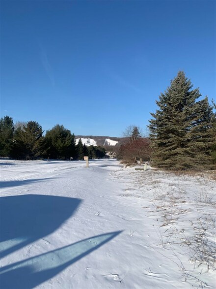 140 Pleasant Valley Dr Unit 74, Harbor Springs, MI 49740